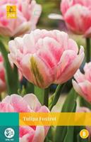Tulp Foxtrot 7 bollen - thumbnail