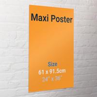 Poster Pink Floyd - 1973 61x91,5cm - thumbnail