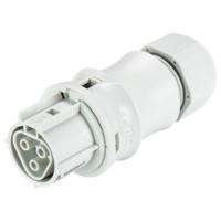 Wieland Electric 96.031.0153.0 Steekverbinder - thumbnail