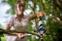 Fiskars Smartfit Telescopische Takkenschaar L86 - thumbnail