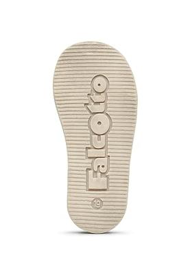 Falcotto ALNOITE - alle