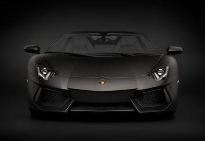 Pocher 1/8 Lamborghini LP700-4 Roadster Nero Nemesis