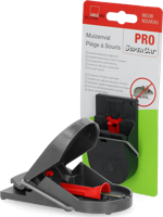 Muizenval-2 - thumbnail