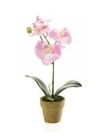 Kunstplant Phalaenopsis Mini Roze - 25cm - thumbnail