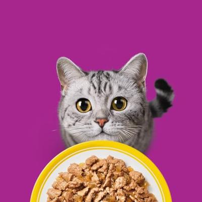WHISKAS Feestmaal in gelei Gevogelte - natvoer voor katten - 120x85g