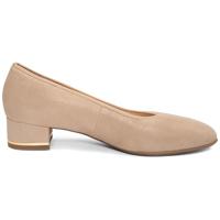 Ara 1221838 - alle - thumbnail