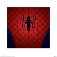 Kunstdruk Ultimate Spider-Man Torso 40x40cm - thumbnail