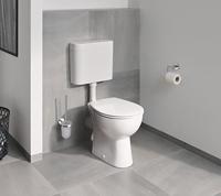 GROHE Bau Cosmopolitan Toiletborstelhouder - wandmontage - rond - open - chroom 40463001 - thumbnail