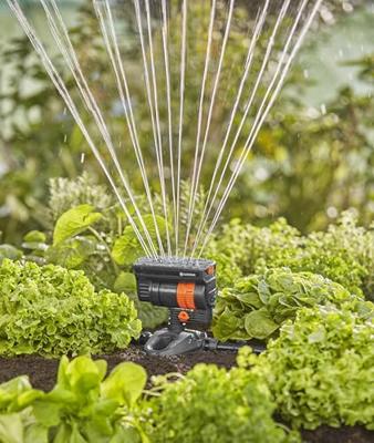GARDENA Micro-Drip system 13325-20 Zwenksproeier 13 mm (1/2) Ø