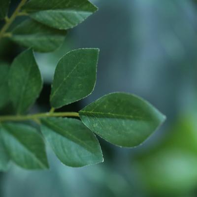 Acacia-Robinia Kunsttak 53cm