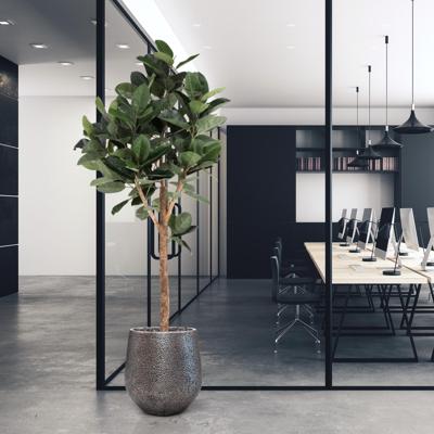 Ficus Elastica Robusta Kunstboom Deluxe 200cm