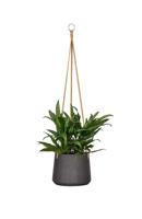 Rough Eco-line hangende bloempot S 14x11 cm Patt zwart - thumbnail