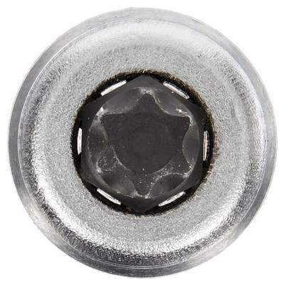 Stahlwille 49 TX T 40 02100040 3/8 (10 mm) Schroevendraaierdop T 40 3/8 (10 mm)