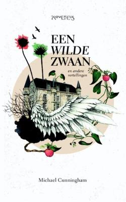 Een wilde zwaan - Michael Cunningham - ebook