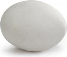 BROEDEI DUIF STEEN 4