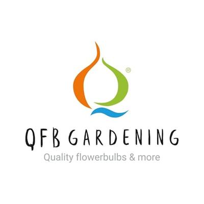 Malva moschata vaste plant Griffioen - Griffioen