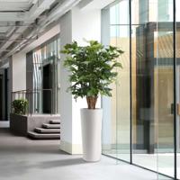 Fishtail XL deluxe kunstpalm 130cm - thumbnail