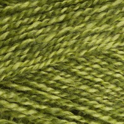 Stylecraft special DK 1124 greengage - Haakgaren / Breigaren