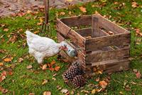 Beeztees Kip snackroller 22.5x6.5x6.5cm Grijs - thumbnail