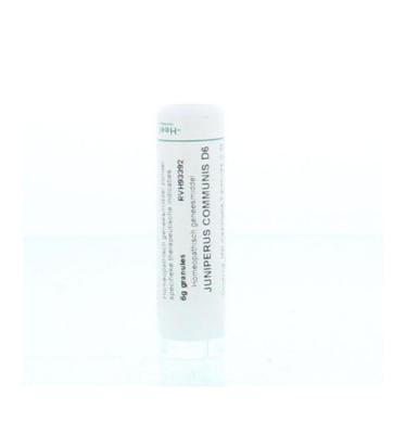 Homeoden Heel Juniperus communis D6 6 Gram Homeoden Heel Juniperus communis D6 6 Gram