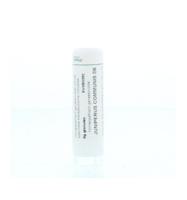 Homeoden Heel Juniperus communis D6 6 Gram - thumbnail