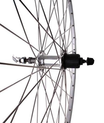 Roland achterwiel Ryde Chrina 28 inch 7V 36G velgrem zilver