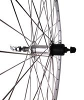 Roland achterwiel Ryde Chrina 28 inch 7V 36G velgrem zilver - thumbnail