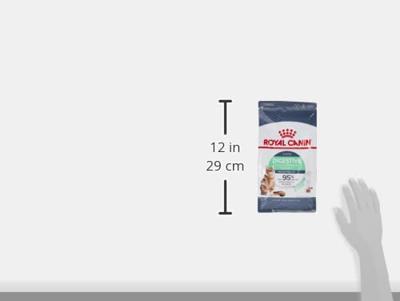 ROYAL CANIN Digestive Care Adult - droog kattenvoer - 400g