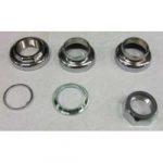 Gazelle balhoofdstel chroom impala 1"