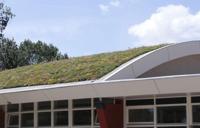 Dakgroen Sedummixmat Compleet (incl. drainage type 11c & 3 zakken daktuinsubstraat) per 1.2 m2 max. 25 graden Sempergreen - Sempergreen - thumbnail