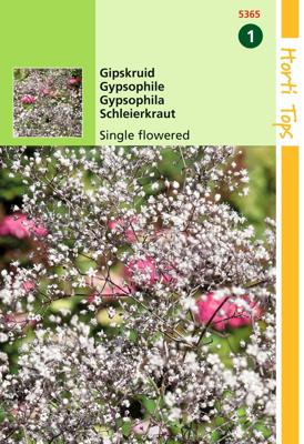 Zaden Gypsophila Gipskruid enkelbloemig wit Hortitops - Hortitops