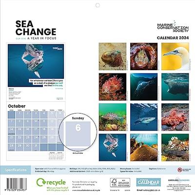 Sea Change Kalender 2024