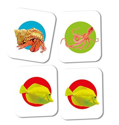 Clementoni memory spel waterwereld junior 48 delig