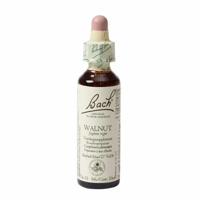 Bach Flower Remedie 33 Walnut 20ml - thumbnail