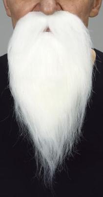 Valse baard My Other Me Wit