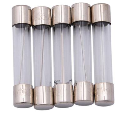 Dresselhaus glazen zekering glass fuses 6.3x30 10a f. japanese vehicles.