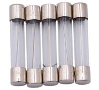 Dresselhaus glazen zekering glass fuses 6.3x30 10a f. japanese vehicles. - thumbnail