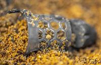 Preston Hexmesh Plastic Bullet Feeder 1st. Large 50 gr - thumbnail