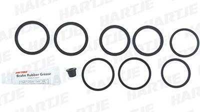 DAYTONA reparatie kit remklauw repair set 88310