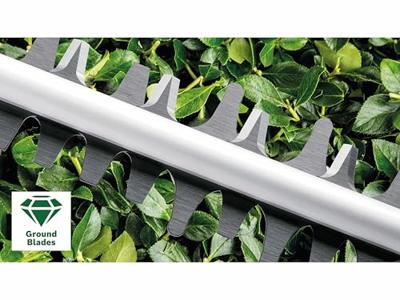 Bosch Groen AdvancedHedgeCut 65 | Heggenschaar | 500W - 06008C0801