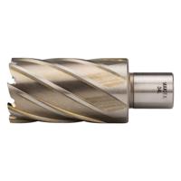 Makita HB34L | Kernboor HSS 34x50mm | Weldon - thumbnail