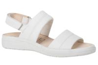 Ganter 200521 - alle - thumbnail