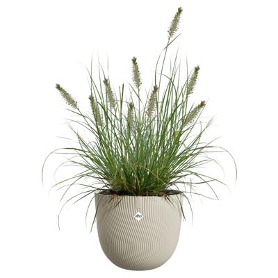 Bloempot sereh rond d60 h51 cm paddenstoel beige bloempot elho - Elho
