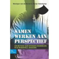 Samen werken aan perspectief (Paperback) - thumbnail