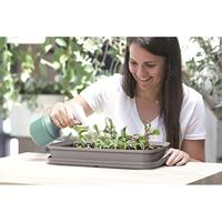 Kweekbak met Ventilatieopening 39.1x25.7x18.5 cm Transparant/Zwart - thumbnail