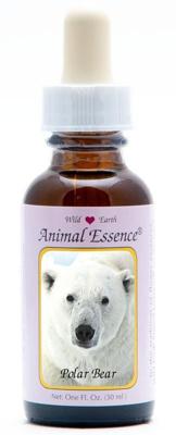 Animal Essences Polar bear (ijsbeer) 30 Milliliter