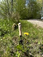 De Wit Rock &apos;n root plantschepje - thumbnail