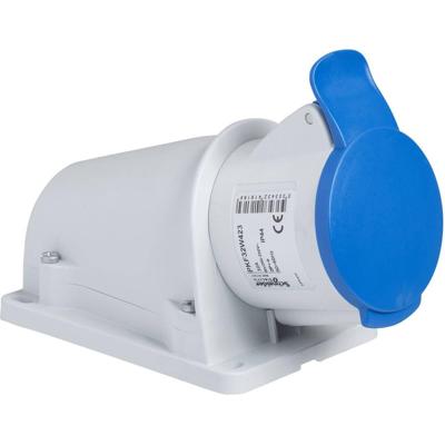 Schneider Electric PKF32W423 PKF32W423 CEE-wandcontactdoos 32 A 250 V 1 stuk(s)