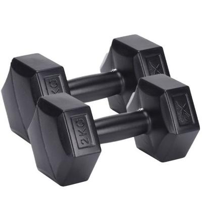 Dumbbells XQ Max Zwart 2 Kg 2 Stuks Dumbbells XQ Max Zwart 2 Kg 2 Stuks