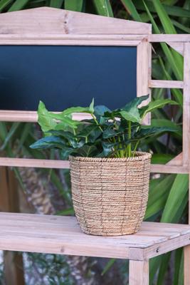 Plantenbakkenset Home ESPRIT Bruin Vezel Tropisch 31 x 31 x 24 cm